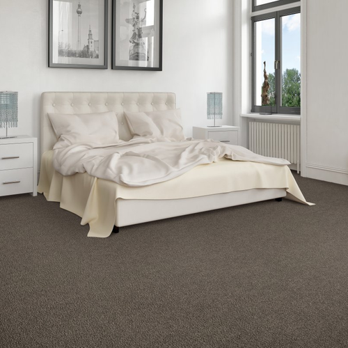 Flor Haus providing stain-resistant pet proof carpet in Leola, PA Exciting Selection I - Dreamy