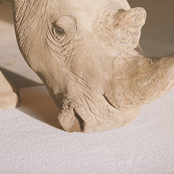 Rhino on a clean SmartStrand Carpet floor